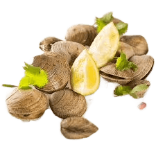 Almejas