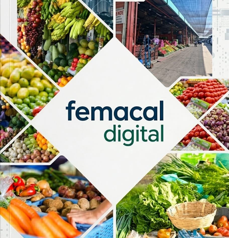 Femacal Digital Portada
