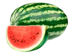 Sandia