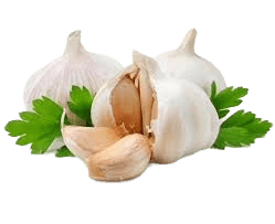 Ajo