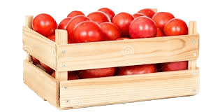 Tomate